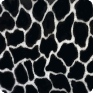 Ref. 300113-50