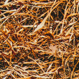 Referencia HG-205